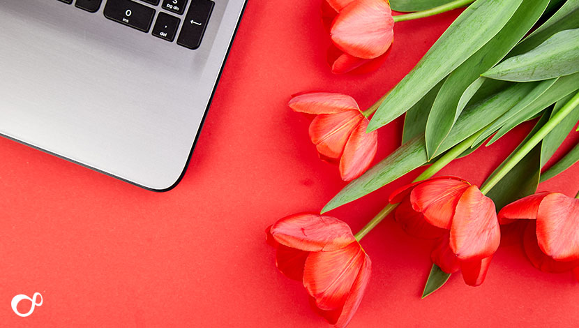 How To Install a WordPress Theme